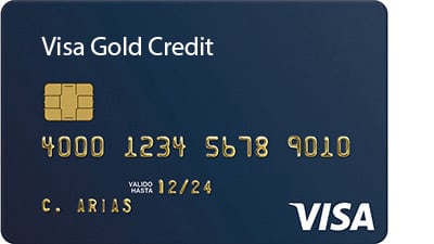 visa gold credit